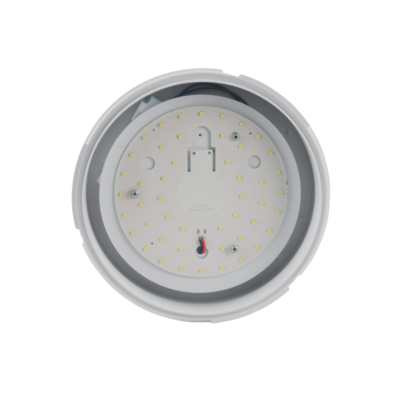 SX05  LED Ceiling Light