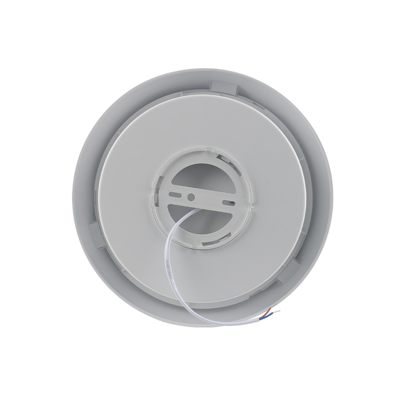 SX05  LED Ceiling Light