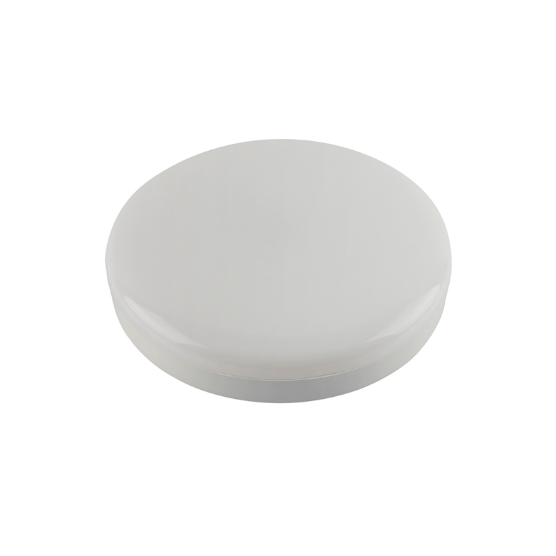 SX06 LED Ceiling Light