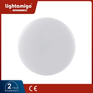 SX06 LED Ceiling Light
