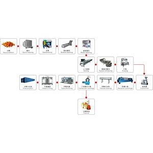 Seabuckthorn processing complete production line