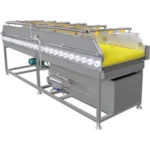 Brush washing machine