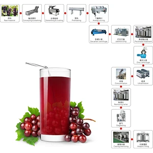 Grape processing production line