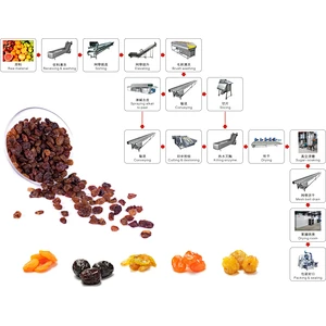 Candied fruit and dried fruit processing production line