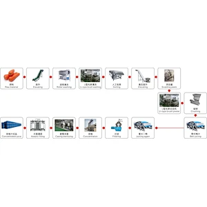 Carrot processing line