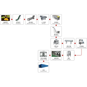 Mango processing complete production line turnkey project