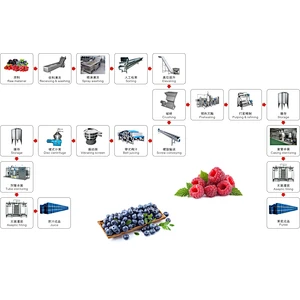 Blueberry,strawberry,raspberry,blackberry,mulberry processing line