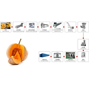 Pumpkin processing line