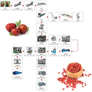 Red dates,medlar processing line