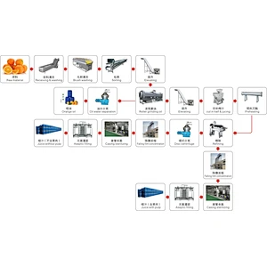 Orange,citrus,lemon processing line