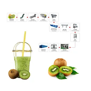 Kiwi processing complete production line