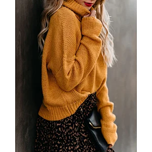 Women fashion clothes turtleneck pullover sweater crew neck casual sweater