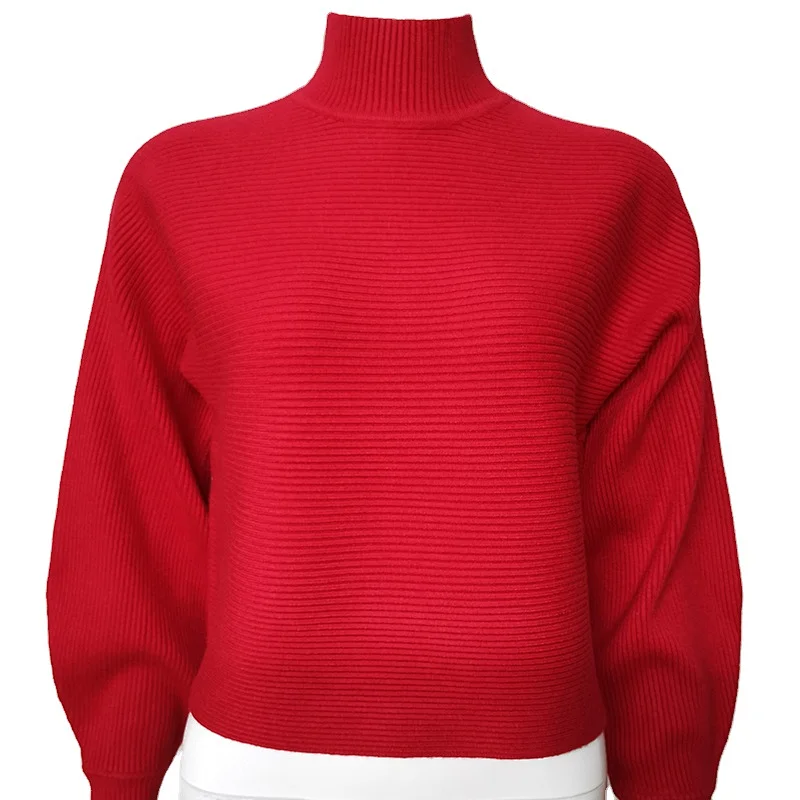 Women's Casual Loose Knitted Sweater Tops  Autumn Women Clothing Turtle Neck Top