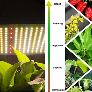 Hot selling Cheap Grow Lights Flowering Full Spectrum 110w LED Grow Light For Indoor Plant Growing