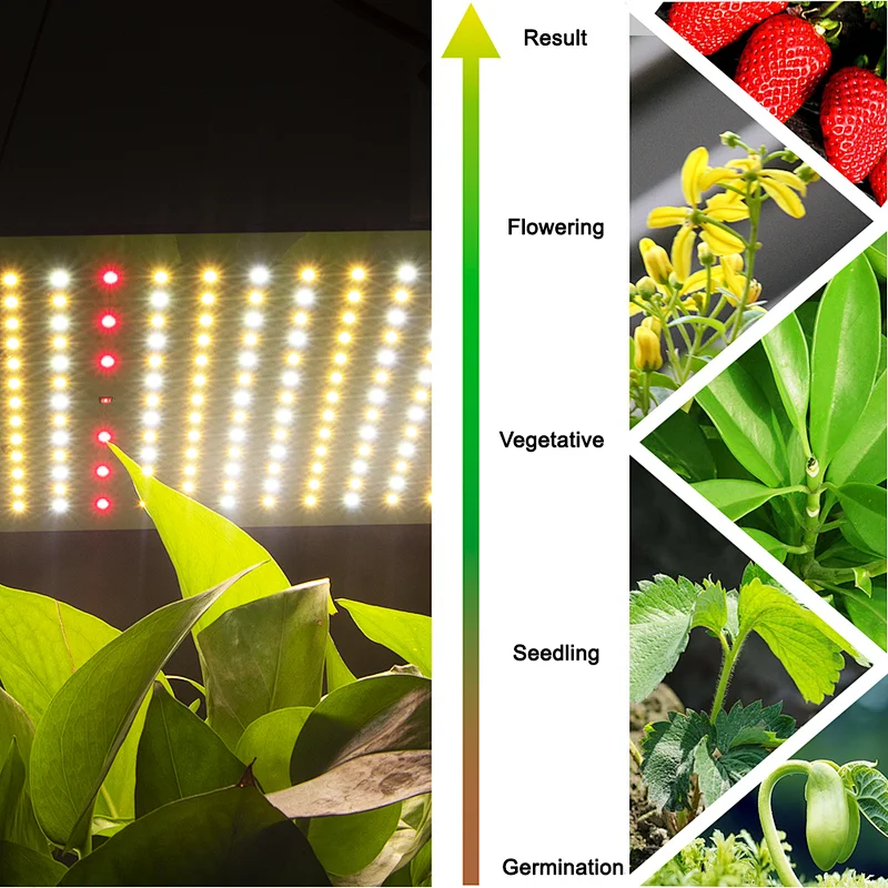 Hot selling Cheap Grow Lights Flowering Full Spectrum 110w LED Grow Light For Indoor Plant Growing