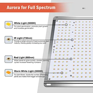 100W LED Grow Light Full Spectrum LED 200 Watt Aluminum Alloy Greenhouse Grow Light