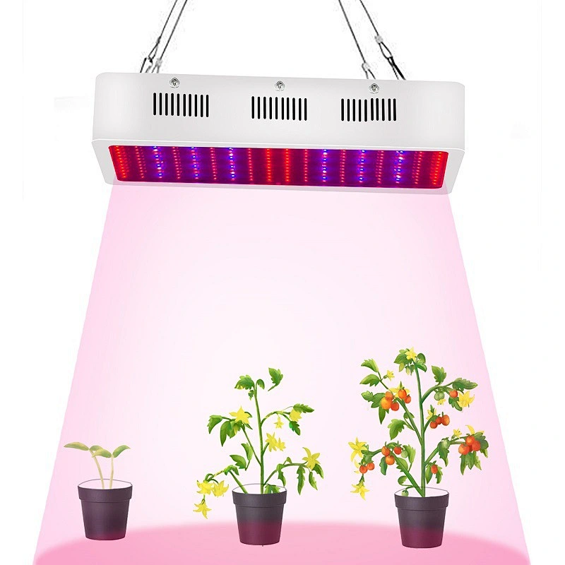 3X3 Led Grow Light 2000W Full Spectrum grow Light For Indoor Plants High Par Value Growth Light