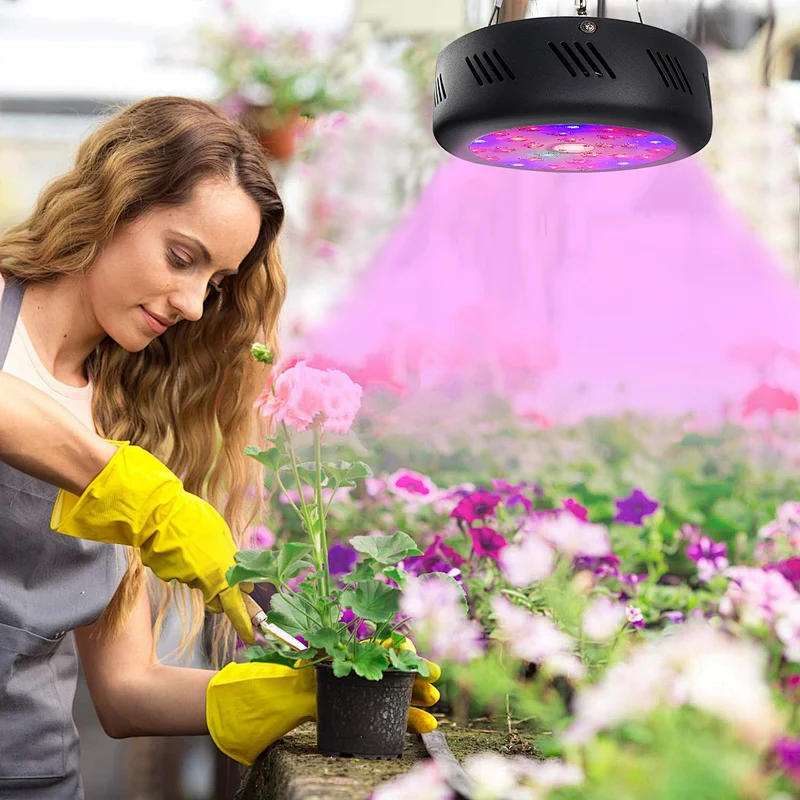 Full Spectrum COB Grow Light 62W Small Round Grow Light Full Spectrum Grow Light For Indoor Plants