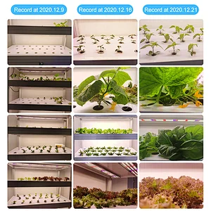 Indoor Grow Lights For Succulents 100 Watt Full Spectrum Waterproof LED Grow Light