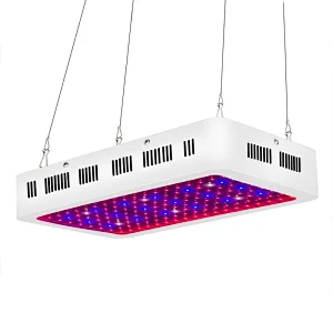 Indoor Plants Veg And Flower 1500W Greenhouse Full Spectrum Grow Lamp For Succulents