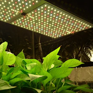Quantum LED Grow Lights Commercial Full Spectrum LED Plant LED Grow Light