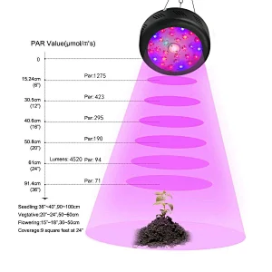 Full Spectrum COB Grow Light 62W Small Round Grow Light Full Spectrum Grow Light For Indoor Plants