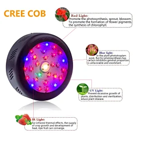 Full Spectrum COB Grow Light 62W Small Round Grow Light Full Spectrum Grow Light For Indoor Plants