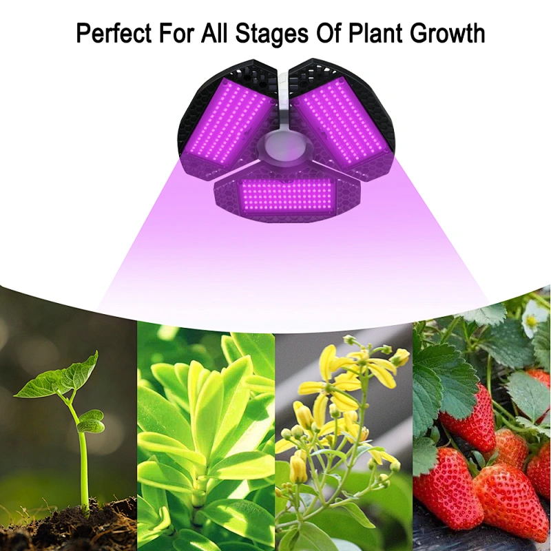 Indoor Lighting For Tomato Plants Full Spectrum 60W Plant Light  For Indoor Cultivation