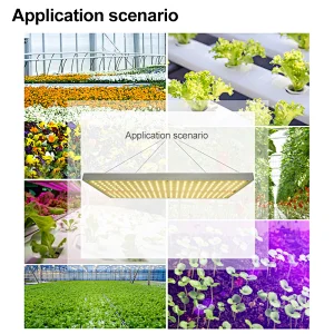 LED Grow Lights For Tomatoes LED Dimmable Horticture Hydroponic Light Plant Light