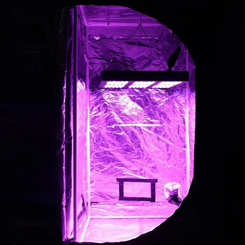 Plant Light For Weed Full Sprectrum 380W Greenhouse Grow Light Sunlike Growing light For Indoor Plants