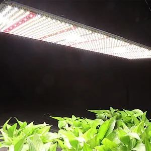 Full Spectrum Quantum Grow Lights Osram LED 300 Watt Vertical Farming Plant Light