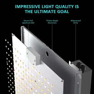 Full Spectrum Quantum Grow Lights Osram LED 300 Watt Vertical Farming Plant Light