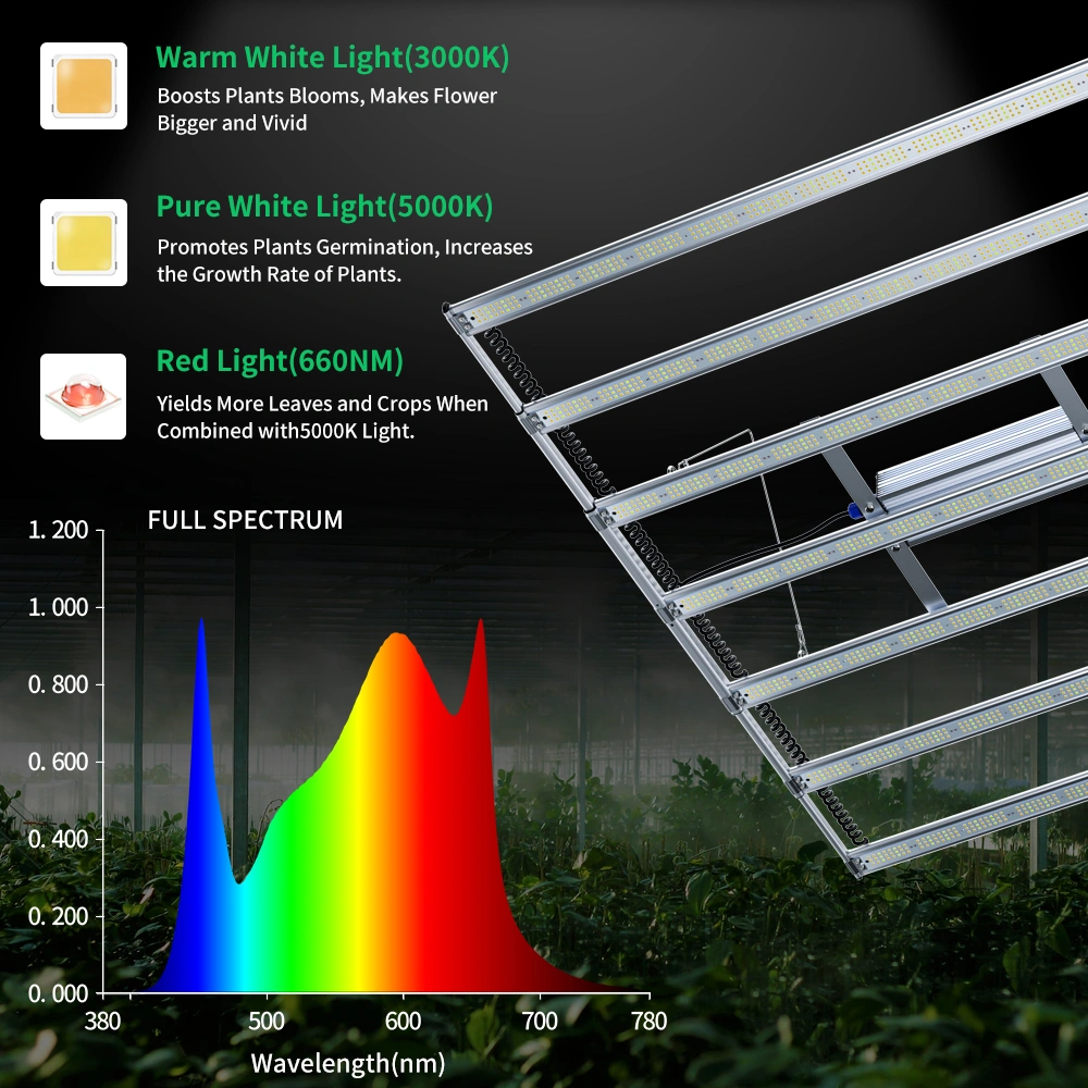 quantum board LED grow light supplier