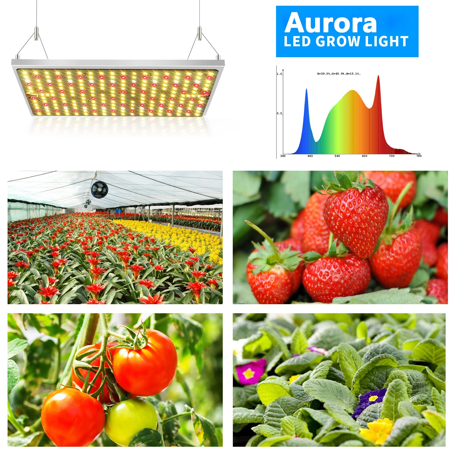 wholesale Commercial Grow Lights For Plants