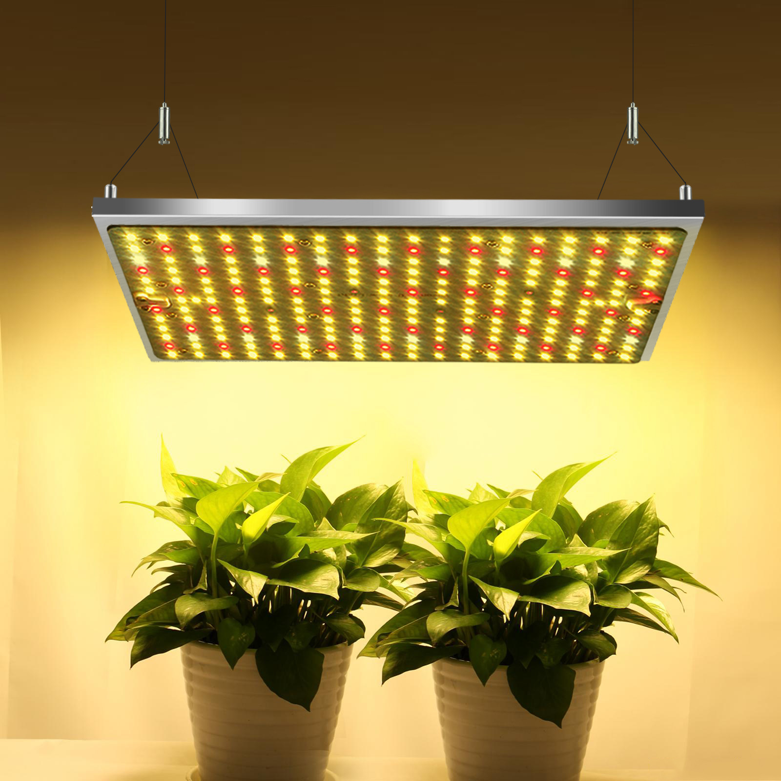 Best 100 Watt Led Grow Light supplier