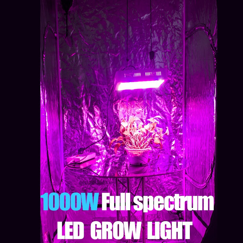 Best Quantum Led Grow Light manufacturer