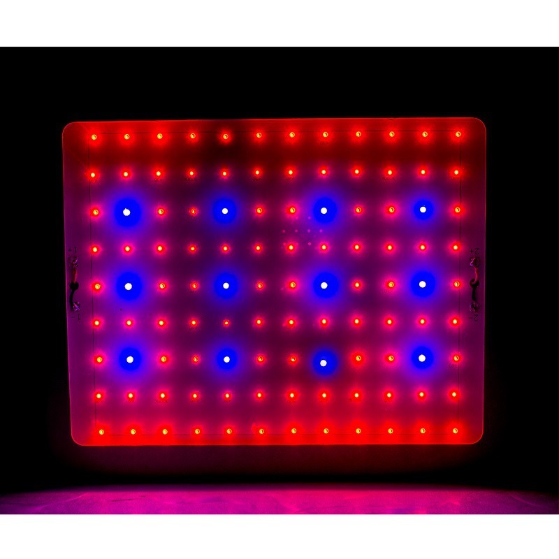 Custom Spectrum Led Grow Lights company