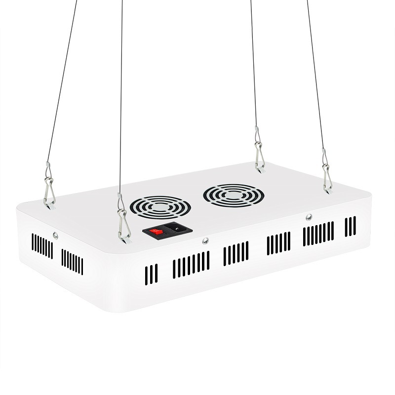 Grow Lamp For Indoor Herbs company