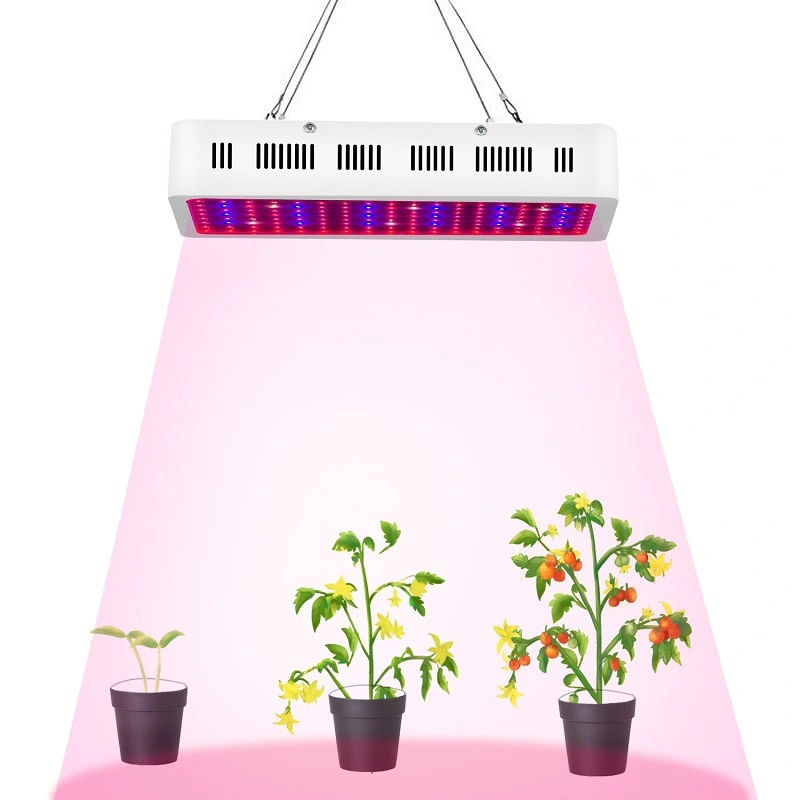 wholesale Grow Lamp For Indoor Herbs