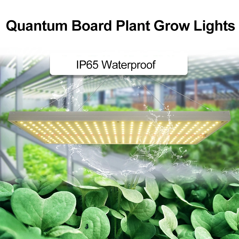 LED Grow Lights For Tomatoes supplier