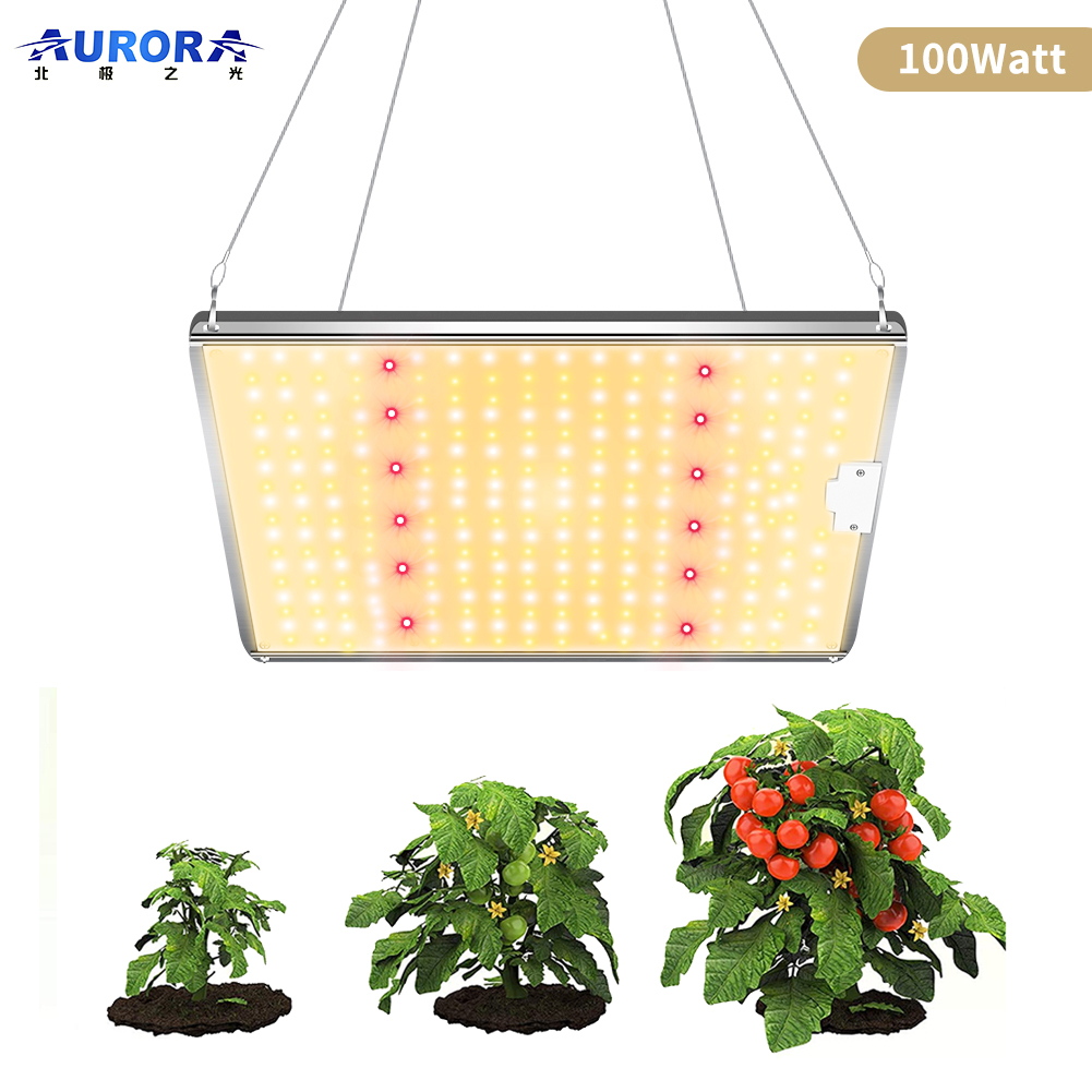 100W LED Grow Light supplier