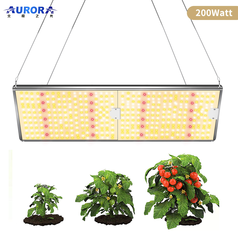 200W Led Grow Light manufacturer
