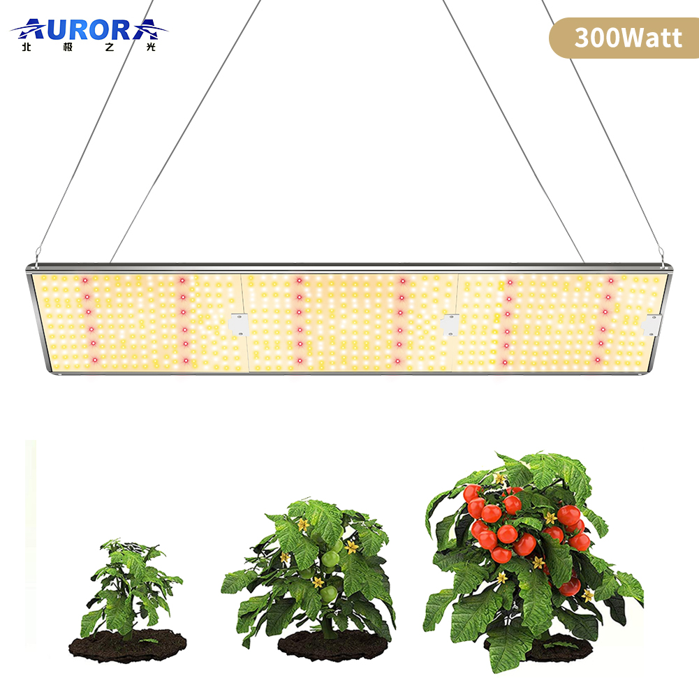 Small Led Grow Lights company