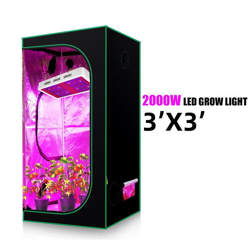 3X3 Led Grow Light supplier