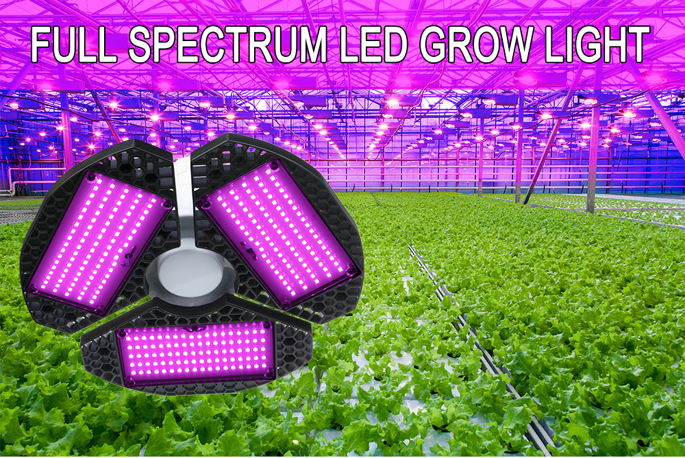 Indoor Lighting For Tomato Plants supplier