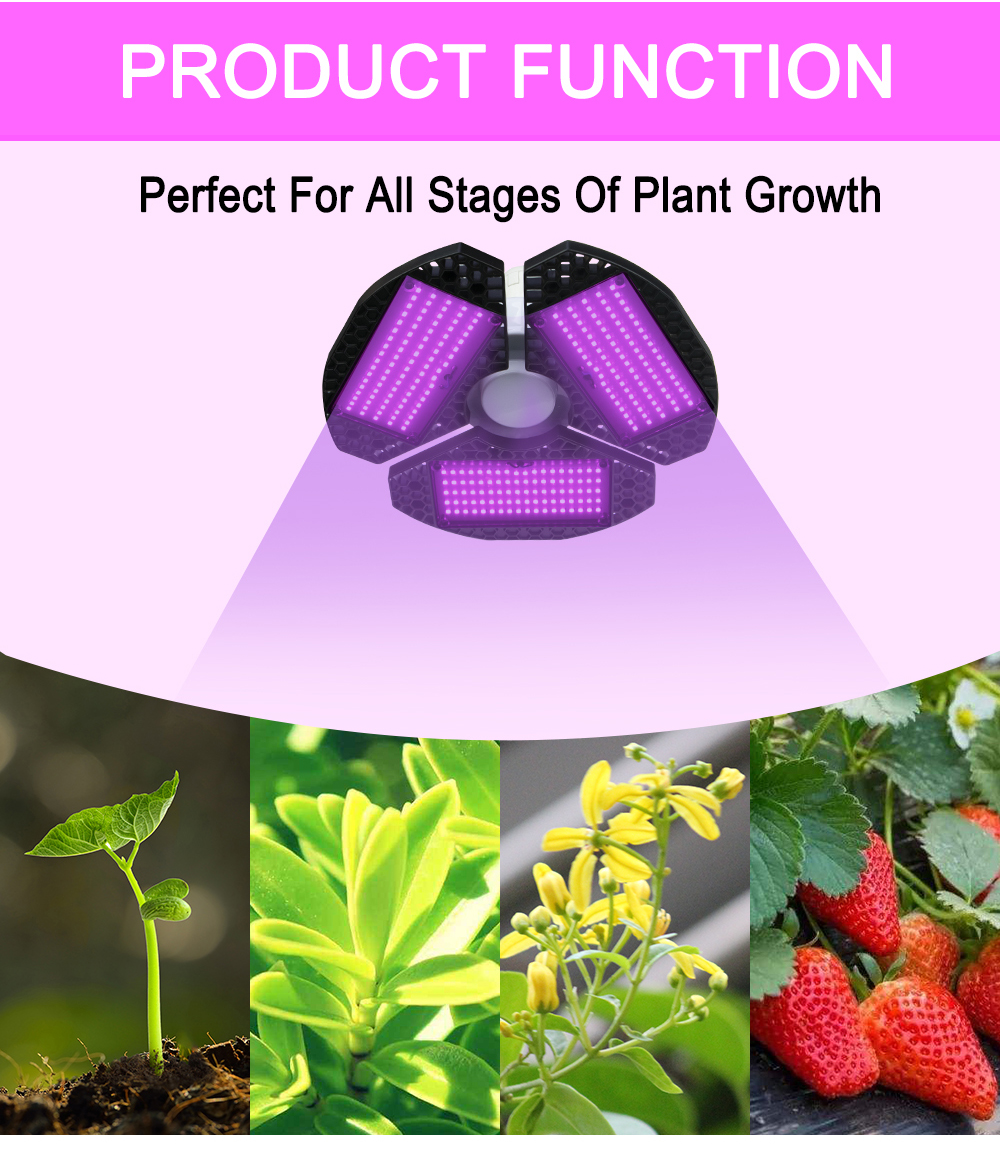 Indoor Plant Lights For Herbs company