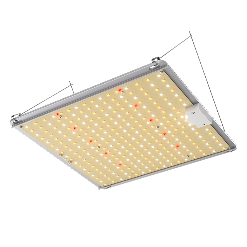 High Ppfd Rating Sunlike F Maxsisun 2020 Latest Qb Style Pb 1000 Led Grow Light 