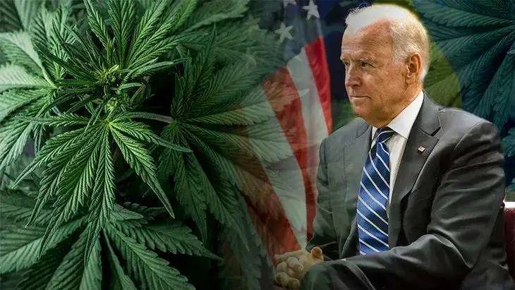 House passes landmark marijuana legalization bill