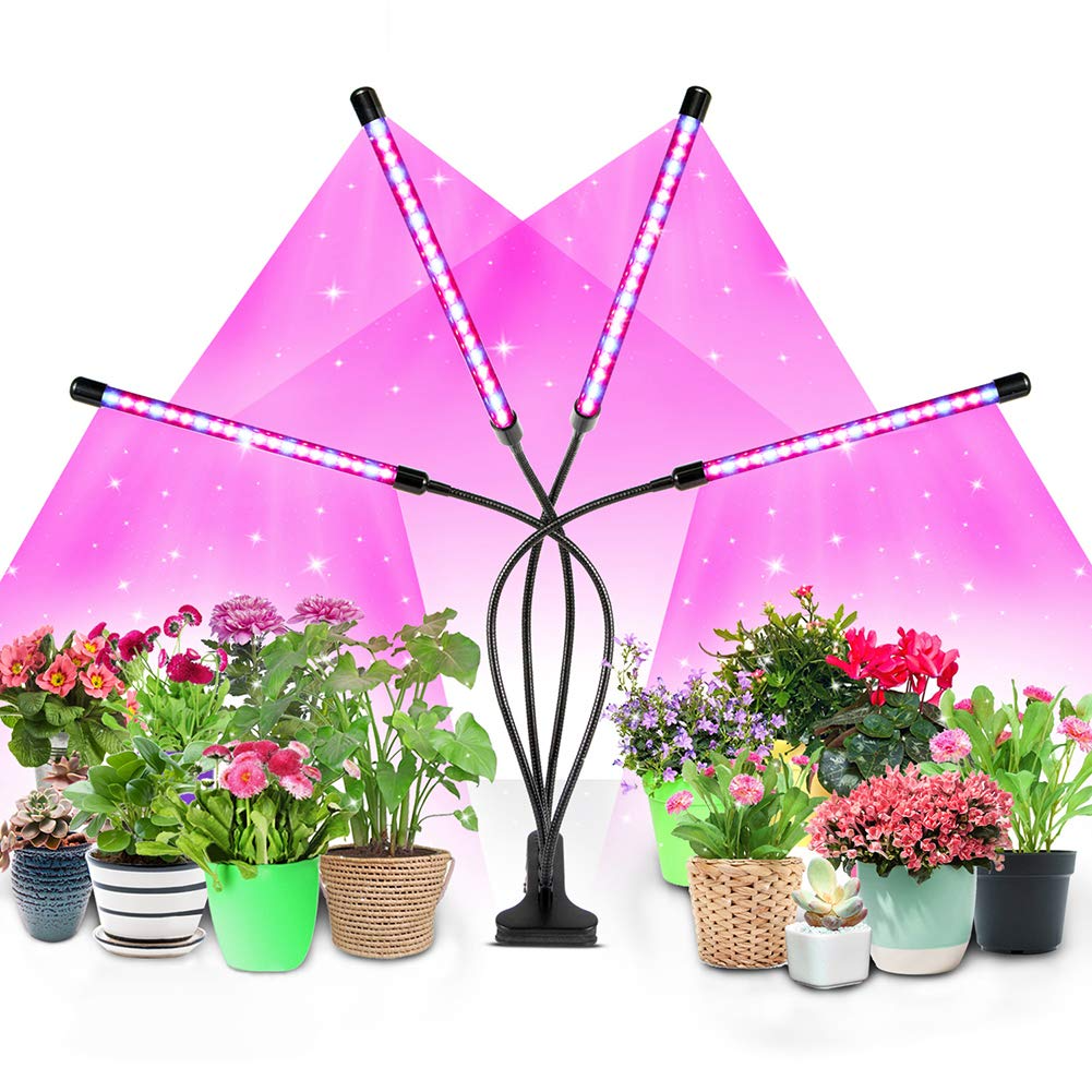 Best led strip store grow lights