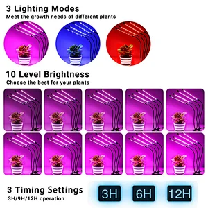 Aurora Best Led Grow Strip Lights Full Spectrum 40W LED Plant Grow Lights